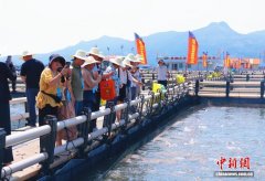 产量占全国八成 福建宁德何